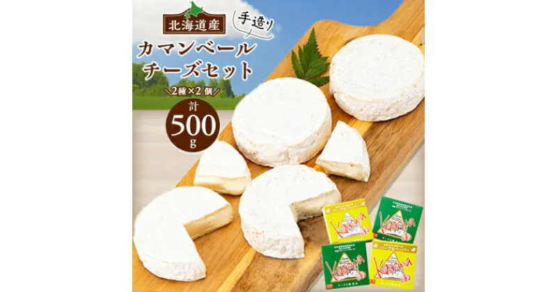 【ふるさと納税】 高評価! 角谷 カマンベールチーズ セット 【125g×4個】_ カマンベール チーズ 詰め合わせ 人気 北海道 安平町 【配送不可地域：離島】【1062701】