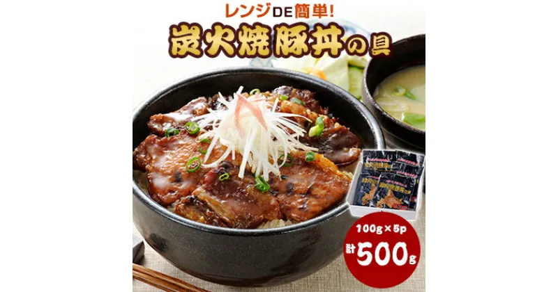 【ふるさと納税】炭火焼豚丼の具500g【配送不可地域：離島】【1418839】