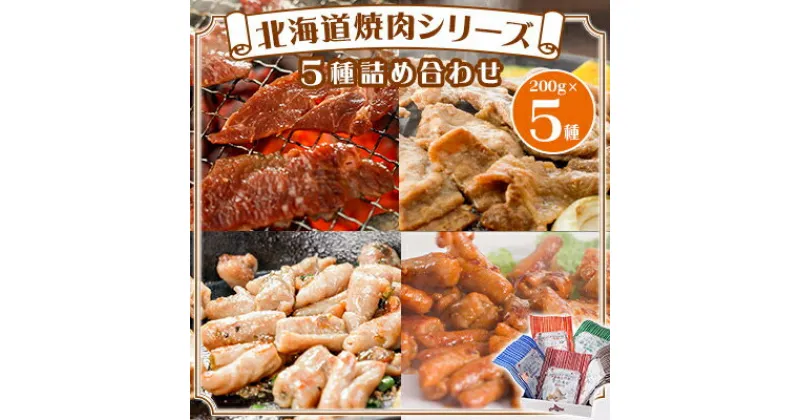 【ふるさと納税】北海道焼肉シリーズ5種詰め合わせ【配送不可地域：離島】【1418805】