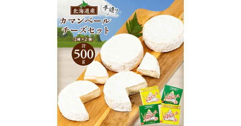 【ふるさと納税】【毎月定期便】高評価! 角谷 カマンベールチーズセット【125g×4個】全3回【配送不可地域：離島】【4013938】