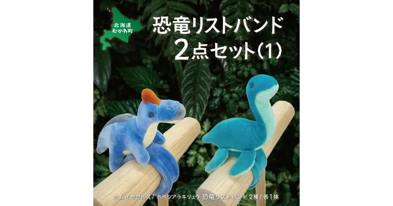 【ふるさと納税】恐竜リストバンド2点セット(1) ふるさと納税 人気 おすすめ ランキング 恐竜 きょうりゅう サウルス リストバンド ぬいぐるみ 北海道 むかわ町 送料無料 MKWG017