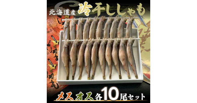 【ふるさと納税】＜北海道産＞冷干ししゃも メス・オス各10尾セット ふるさと納税 人気 おすすめ ランキング 冷干ししゃも シシャモ 魚 セット オス メス セット 北海道 むかわ町 送料無料 MKWZ006