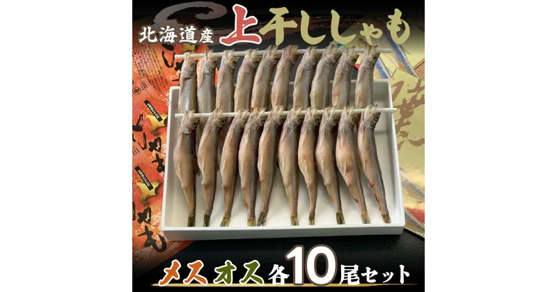 【ふるさと納税】＜北海道産＞上干ししゃも メス・オスセット ふるさと納税 人気 おすすめ ランキング ししゃも シシャモ 魚 セット 無添加 無着色 北海道 むかわ町 送料無料 MKWZ011