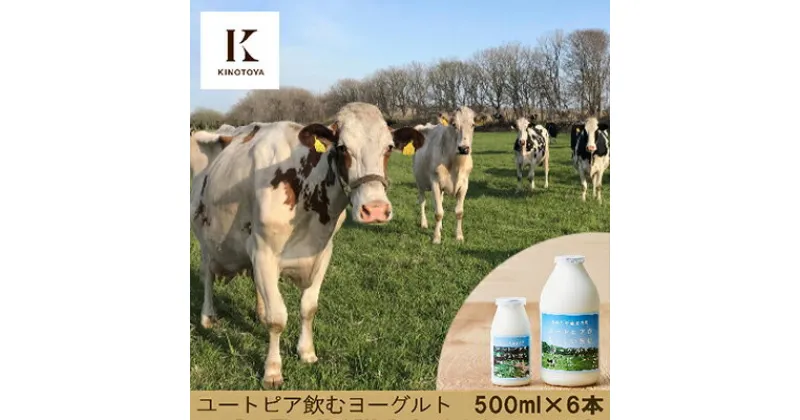 【ふるさと納税】ユートピアのおいしい飲むヨーグルト500ml×6本　乳製品・ヨーグルト・乳飲料・ドリンク　お届け：2024年1月中旬以降順次出荷