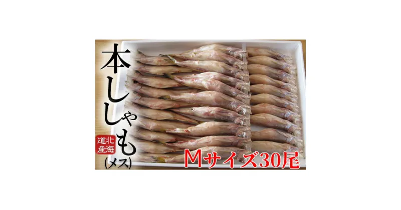 【ふるさと納税】北海道産 ししゃも【メス】M30尾セット 魚介類 ししゃも 魚 海鮮 海の幸 北海道 日高 本ししゃも Mサイズ メス　魚貝類・ししゃも・シシャモ・魚介類・メス・干物