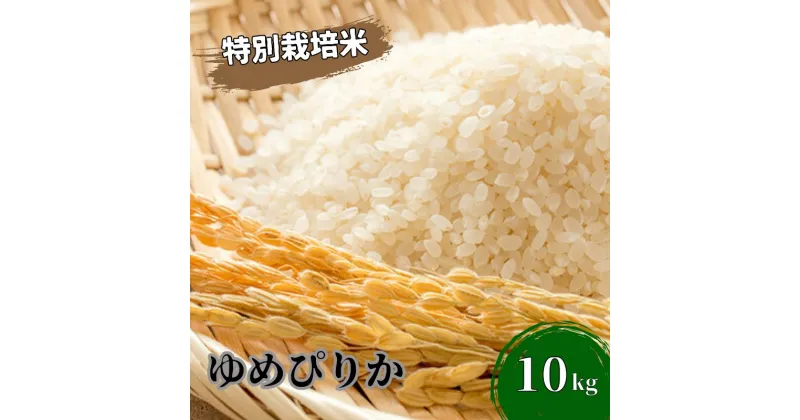 【ふるさと納税】北海道日高【田中農園】R5年産 ゆめぴりか 10kg JGAP認証　米・お米・ゆめぴりか　お届け：2024年10月から順次発送