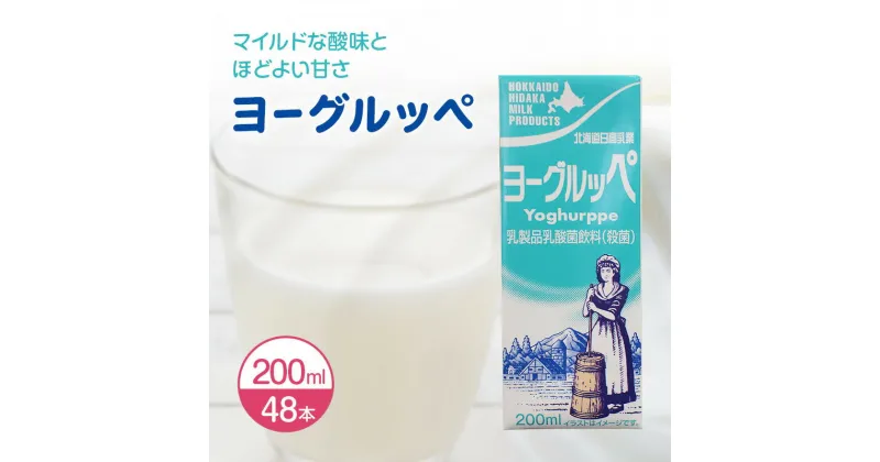 【ふるさと納税】北海道 日高乳業【ヨーグルッペ】 200ml × 48本 飲料 ジュース 乳酸菌 乳酸菌飲料 パック　乳飲料・ドリンク・発酵飲料・乳酸菌飲料