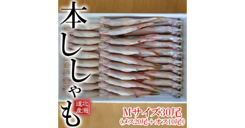 【ふるさと納税】北海道産 ししゃもM30尾（メス20尾＋オス10尾）魚介類 ししゃも 魚 海鮮 海の幸 北海道 日高 本ししゃも Mサイズ オス メス　北海道産・ししゃも・魚介類・魚貝類・干物