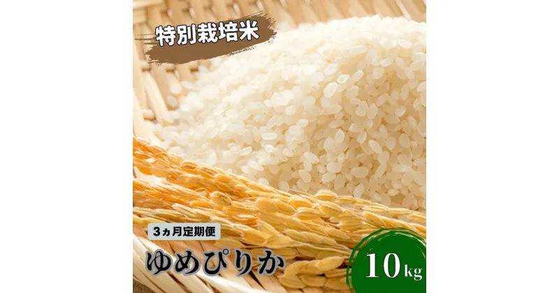 【ふるさと納税】◆3ヵ月連続お届け お米の定期便◆北海道日高【田中農園】R5年産 ゆめぴりか 10kg JGAP認証　定期便・ 米 お米 ゆめぴりか 北海道 モチモチ 定期便 おにぎり 令和4年産 　お届け：2024年10月から順次発送