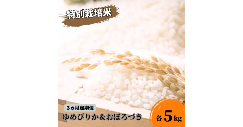 【ふるさと納税】◆3ヵ月連続お届け お米の定期便◆北海道日高【田中農園】R5年産 ゆめぴりか＆おぼろづき 各5kg 食べ比べ セット JGAP認証　定期便・ 米 お米 食べ比べ 北海道 モチモチ 定期便 おにぎり 令和4年産 　お届け：2024年10月から順次発送