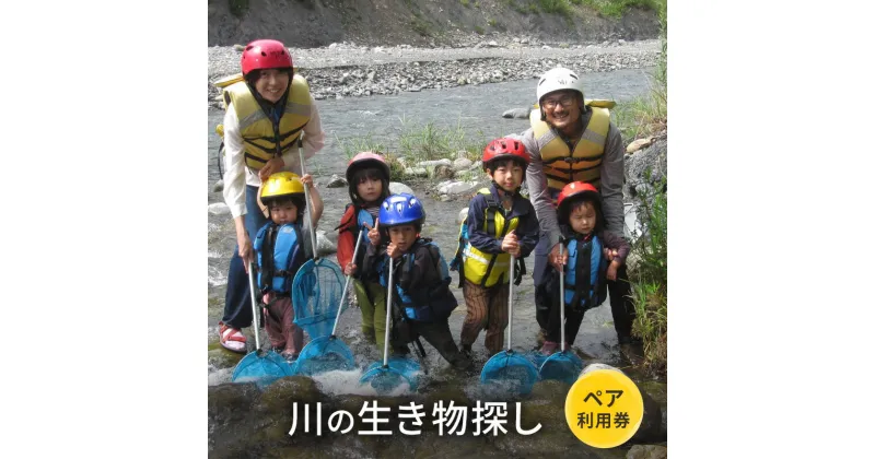 【ふるさと納税】川の生き物探し【体験チケット】体験 チケット 自然 川 釣り 北海道 日高町