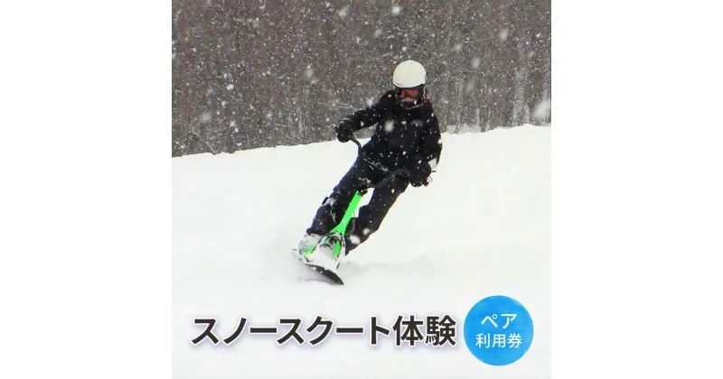 【ふるさと納税】スノースクート体験【体験チケット】体験 チケット 自然 雪 北海道 日高町