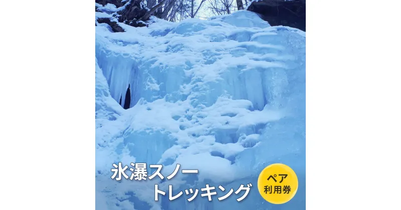 【ふるさと納税】氷瀑スノートレッキング【体験チケット】体験 チケット 自然 北海道 日高町