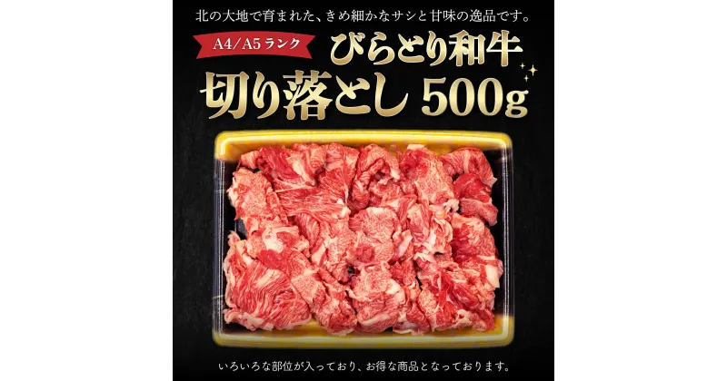 【ふるさと納税】【A4/A5ランク黒毛和牛】びらとり和牛切り落とし500g ふるさと納税 人気 おすすめ ランキング びらとり和牛 黒毛和牛 和牛 肉 すき焼き 北海道 平取町 送料無料 BRTB012