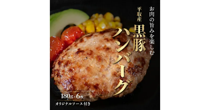 【ふるさと納税】平取産黒豚ハンバーグ180g6枚　オリジナルソース付 ふるさと納税 人気 おすすめ ランキング 黒豚 肉 ハンバーグ 北海道 平取町 送料無料 BRTB029