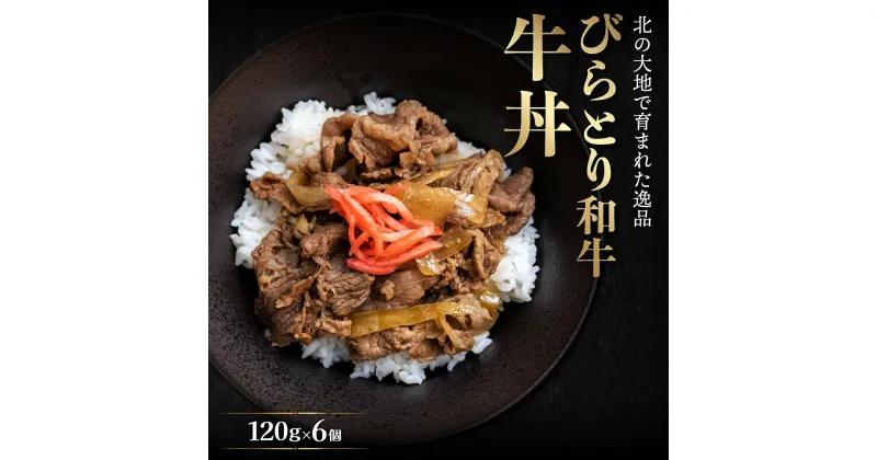 【ふるさと納税】びらとり和牛牛丼120g6個 ふるさと納税 人気 おすすめ ランキング 和牛 肉 牛丼 北海道 平取町 送料無料 BRTB033