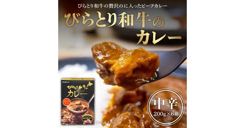 【ふるさと納税】びらとり和牛カレー中辛200g×6箱 ふるさと納税 人気 おすすめ ランキング びらとり和牛 平取和牛 和牛 カレー 中辛 北海道 平取町 送料無料 BRTH019