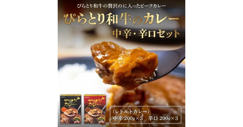 【ふるさと納税】びらとり和牛カレー中辛・辛口セット（各200g×3箱） ふるさと納税 人気 おすすめ ランキング びらとり和牛 平取和牛 和牛 カレー 中辛 辛口 北海道 平取町 送料無料 BRTH020