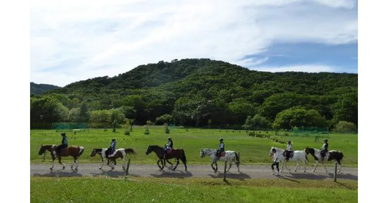 【ふるさと納税】乗馬招待券45分×2枚(初心者コース)[07-092]