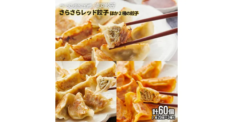 【ふるさと納税】さらさらレッド餃子ほか2種の餃子(行者にんにく・ピリ辛)20個入×各1袋[04-1106]