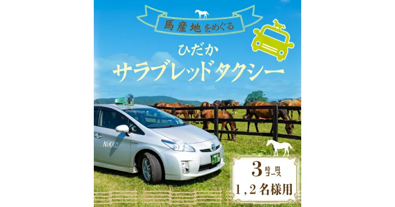 【ふるさと納税】馬産地をめぐる「ひだかサラブレッドタクシー」3時間(1,2名様)コース[41-1102] 北海道 浦河 ふるさと納税 タクシー 観光 馬 牧場 サラブレッド 1.2名様 送料無料