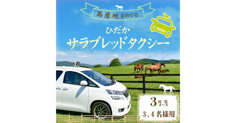 【ふるさと納税】馬産地をめぐる「ひだかサラブレッドタクシー」3時間(3,4名様)コース[41-1103] 北海道 浦河 ふるさと納税 タクシー 観光 馬 牧場 サラブレッド 3.4名様 送料無料