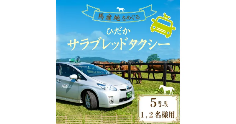 【ふるさと納税】馬産地をめぐる「ひだかサラブレッドタクシー」5時間(1,2名様)コース[41-1104] 北海道 浦河 ふるさと納税 タクシー 観光 馬 牧場 サラブレッド 1.2名様 ランチ付 送料無料