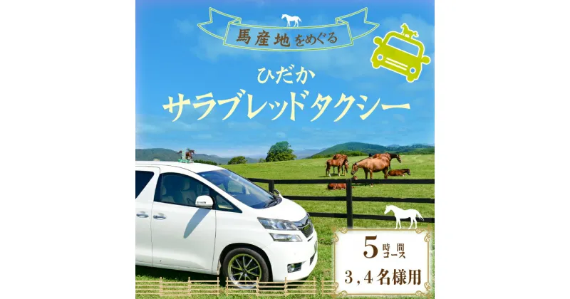 【ふるさと納税】馬産地をめぐる「ひだかサラブレッドタクシー」5時間(3,4名様)コース[41-1105] 北海道 浦河 ふるさと納税 タクシー 観光 馬 牧場 サラブレッド 3.4名様 ランチ付 送料無料