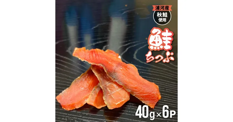 【ふるさと納税】北海道日高産 さけちっぷ(40g×6P)[25-1290]