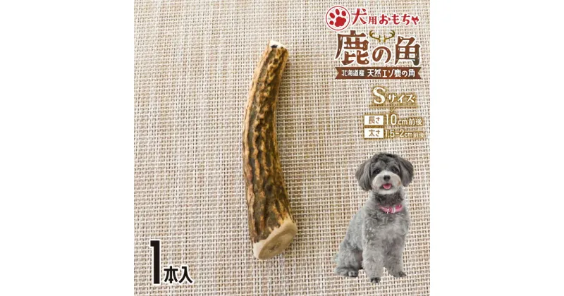 【ふるさと納税】犬用「鹿の角」Sサイズ×1本[53-1347] 北海道 浦河 ふるさと納税 鹿の角 鹿 犬用 ワンちゃん おもちゃ 玩具 デンタルケア 送料無料