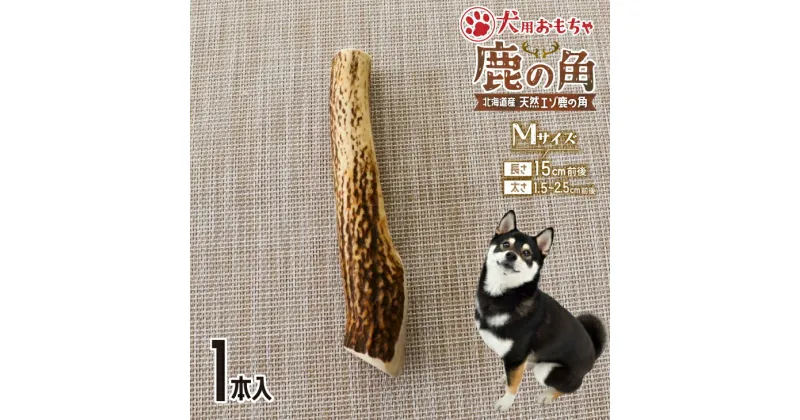 【ふるさと納税】犬用「鹿の角」Mサイズ×1本[53-1348] 北海道 浦河 ふるさと納税 鹿の角 鹿 犬用 ワンちゃん おもちゃ 玩具 デンタルケア 送料無料