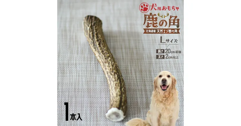 【ふるさと納税】犬用「鹿の角」Lサイズ×1本[53-1349] 北海道 浦河 ふるさと納税 鹿の角 鹿 犬用 ワンちゃん おもちゃ 玩具 デンタルケア 送料無料