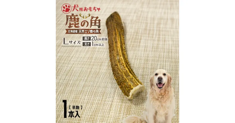 【ふるさと納税】犬用「鹿の角(半割り)」Lサイズ×1本[53-1352] 北海道 浦河 ふるさと納税 鹿の角 鹿 犬用 ワンちゃん おもちゃ 玩具 デンタルケア 送料無料