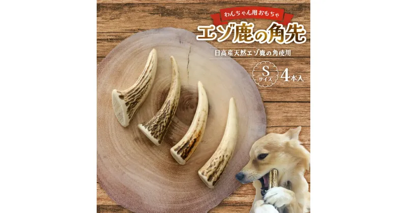 【ふるさと納税】エゾ鹿の角先 Sサイズ×4本セット(1本物)[54-1363] 北海道 浦河 ふるさと納税 鹿の角 鹿 天然 犬用 わんちゃん おもちゃ 玩具 デンタルケア 送料無料