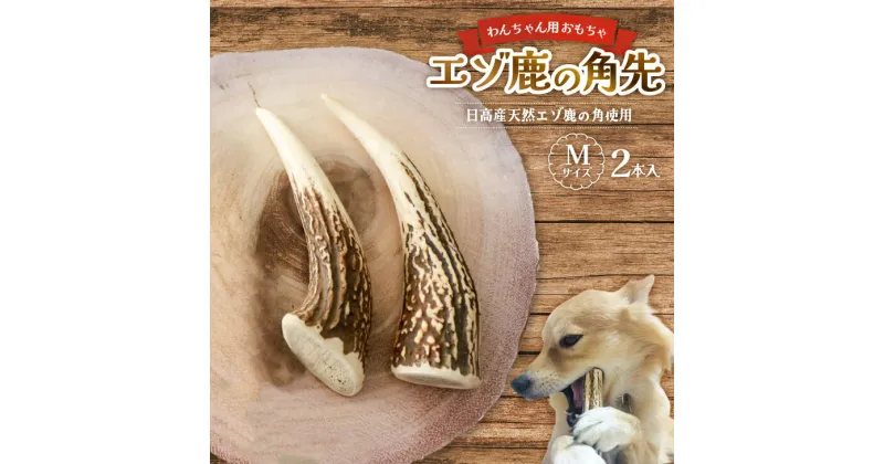 【ふるさと納税】エゾ鹿の角先 Mサイズ×2本セット(1本物)[54-1364] 北海道 浦河 ふるさと納税 鹿の角 鹿 天然 犬用 わんちゃん おもちゃ 玩具 デンタルケア 送料無料