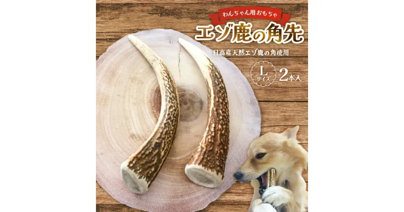 【ふるさと納税】エゾ鹿の角先 Lサイズ×2本セット(1本物)[54-1365] 北海道 浦河 ふるさと納税 鹿の角 鹿 天然 犬用 わんちゃん おもちゃ 玩具 デンタルケア 送料無料