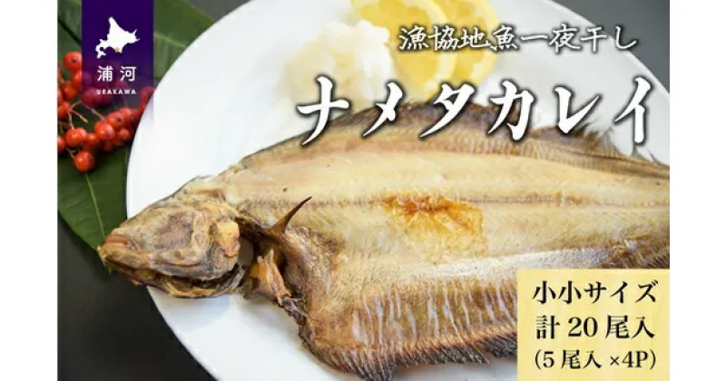 【ふるさと納税】漁協の地魚一夜干し ナメタカレイ 小小サイズ(20尾入)[02-1390] 北海道 浦河 ふるさと納税 一夜干し ナメタカレイ 干物 送料無料