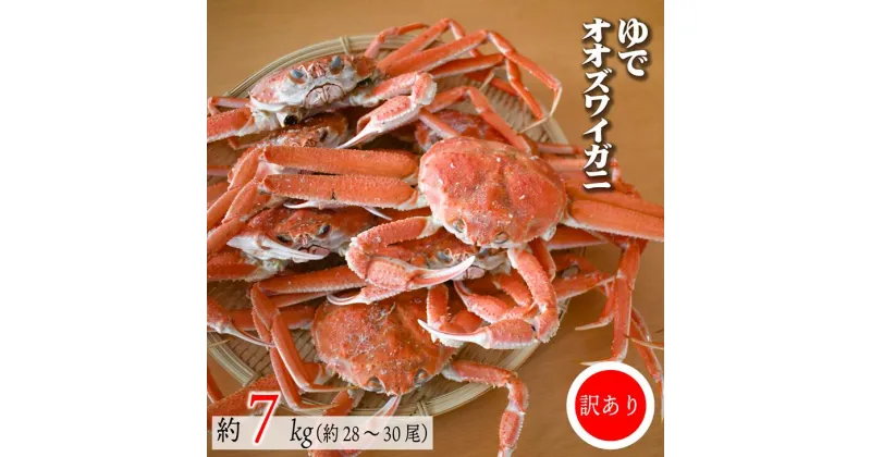 【ふるさと納税】◆期間・数量限定◆訳あり ゆでオオズワイガニ約7kg(約28～30尾入)[02-1412]※離島・沖縄県不可※ 北海道 浦河 ふるさと納税 オオズワイガニ カニ ゆで 7kg 漁協直送 冷蔵発送 送料無料