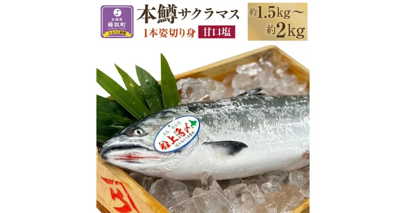 【ふるさと納税】本鱒（サクラマス）船上活〆1本姿切り身【甘口塩】（1尾分1.5kg～2kg） | サーモン 魚 鮭 冷凍 さけ サケ 人気 ふるさと 海鮮 海鮮食品 魚介類 魚介