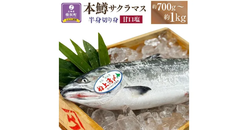 【ふるさと納税】本鱒（サクラマス）船上活〆半身切り身【甘口塩】（半身約700g～1000g） | サーモン 魚 鮭 冷凍 さけ サケ 人気 ふるさと 海鮮 海鮮食品 魚介類 魚介