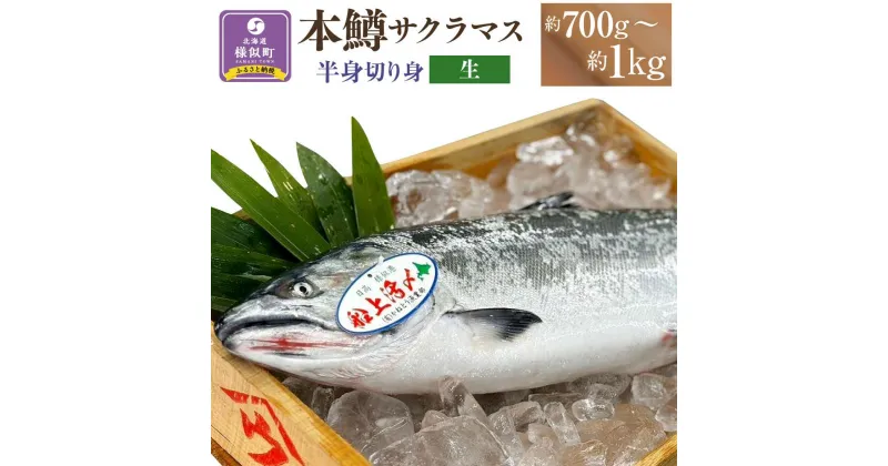 【ふるさと納税】本鱒（サクラマス）船上活〆半身切り身【生】（半身約700g～1000g） | サーモン 魚 鮭 冷凍 さけ サケ 人気 ふるさと 海鮮 海鮮食品 魚介類 魚介