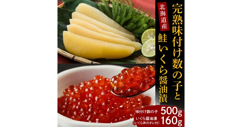 【ふるさと納税】完熟 味付け 数の子 500g 鮭 いくら 醤油漬 160g セット 国産 北海道産 サケ イクラ 特製たれ 醤油漬け 魚介 海鮮 海産物 人気 送料無料