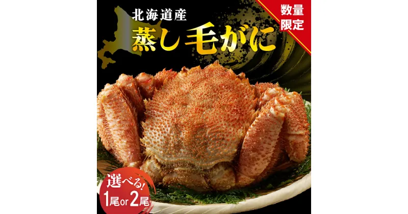 【ふるさと納税】【 数量限定 】北海道産 活蒸し 毛がに (選べる 500g × 1尾 / 2尾 ) / 毛蟹 毛ガニ 毛カニ 活蒸し毛蟹 蒸し 活蒸し カニ 蟹 かに かにみそ 姿 急速冷凍 冷凍 魚介 魚介類 海鮮 海の幸 海産物 蟹鍋 かに鍋 北海道 えりも町