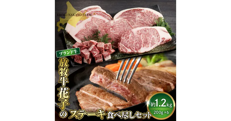 【ふるさと納税】牛肉 牛 ステーキ 食べ尽くし セット 1.2kg ( 200g × 6枚 ) 北海道 えりも町 ブランド 牛 放牧牛 花子 サーロイン リブロース ランプ イチボ シンタマ トモサンカク 肩ロース ウデ トウガラシ 肩ロース サイコロステーキ 人気 送料無料