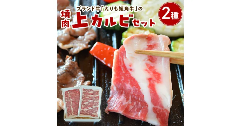 【ふるさと納税】 牛肉 焼肉 上カルビ セット 各 200g / 上カルビ ヘルシーウデ 2種盛 焼き肉 焼肉セット 上カルビセット カルビ 食べ比べ 赤身 ヘルシー 希少 品種 短角牛 ブランド牛 お肉 肉 国産牛 BBQ バーベキュー 冷凍 農家直送 国産 北海道産 北海道 えりも町