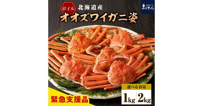 【ふるさと納税】ボイル オオズワイガニ 姿 (選べる：1kg / 2kg )/ おおずわいがに おおずわい蟹 ズワイガニ ずわいがに ずわい蟹 ズワイ 蟹 カニ かに かに鍋 かにしゃぶ ボイル済み 茹で 魚介類 魚介 海鮮 海の幸 海産物 水産加工品 国産 北海道産 北海道 えりも町