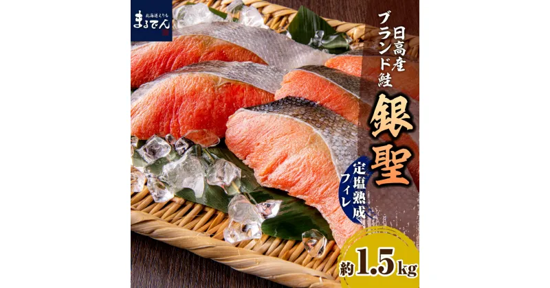 【ふるさと納税】鮭 銀聖鮭 定塩 熟成 フィレ 1.5kg / サケ さけ しゃけ シャケ ブランド鮭 銀聖 銀毛 銀毛鮭 塩鮭 塩鮭 塩漬 塩漬け 秋鮭 白鮭 シロサケ 魚 魚介類 魚介 焼き魚　焼魚 ムニエル 大容量 真空パック 海鮮 海の幸 海産物 北海道産 国産 北海道 えりも町