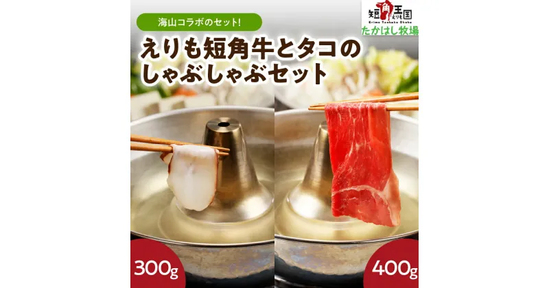 【ふるさと納税】えりも短角牛 と タコ の しゃぶしゃぶ セット 計700g もも肉 モモ ブリスケ ブリスケット 牛肉 牛 肉 ビーフ うす切り 薄切り スライス たこしゃぶ 蛸 鍋 刺身 海鮮 魚介 食べ比べ お取り寄せ 冷凍 冷凍便 国産 北海道産 北海道 えりも町