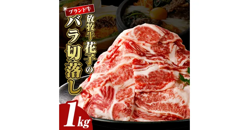 【ふるさと納税】牛肉 切り落とし 1kg / 肉 牛 切り落し バラ肉 赤身 国産牛 国産牛切り落とし 薄切り バラ盛り 小分け すき焼き 牛丼 しゃぶしゃぶ 放牧牛 お取り寄せ グルメ 冷凍 国産 北海道産 北海道 えりも町